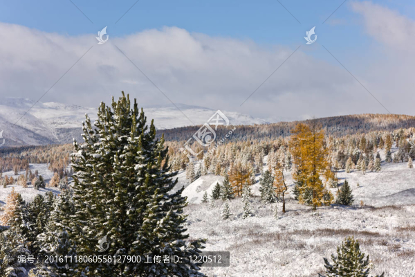 冬季景觀-匯圖網(wǎng) www.fosd68.com 冬季景觀