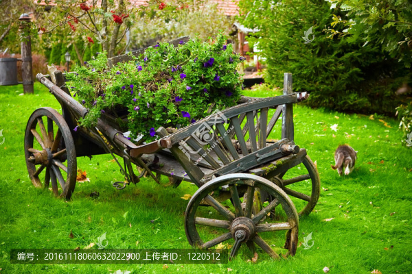 裝飾車