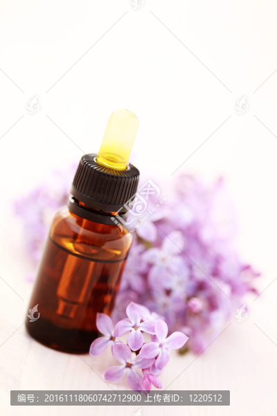 丁香花的芳香