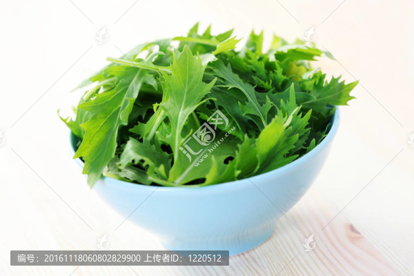 日本蕪菁葉