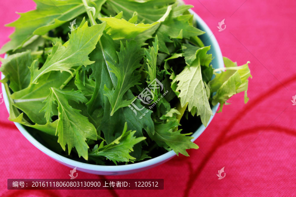 日本蕪菁葉
