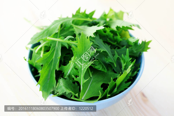 日本蕪菁葉