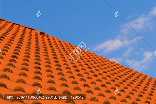 屋頂