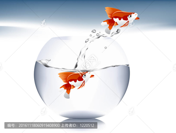 金魚