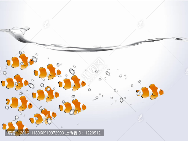 小丑魚