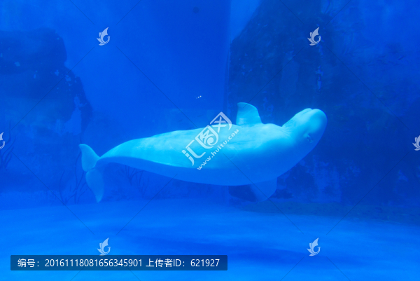 海洋館