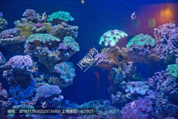 海洋館