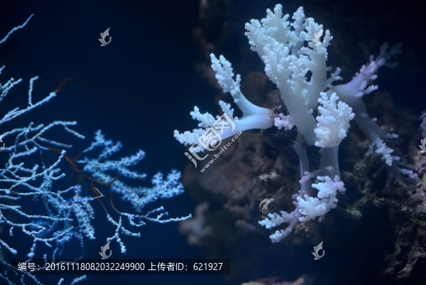海洋館