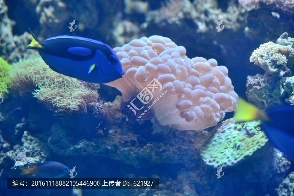 海洋館