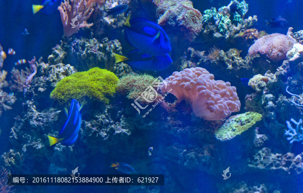 海洋館
