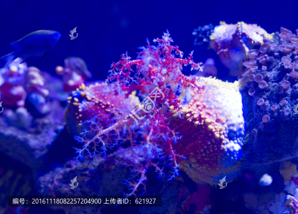 海洋館