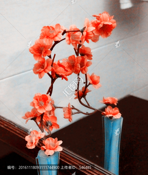 插花,臘梅