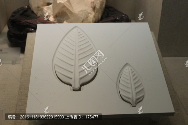 葉子模型