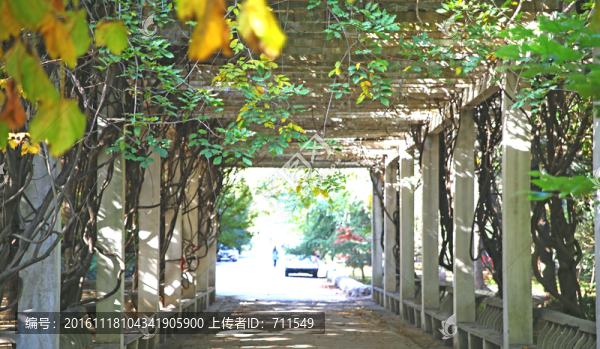 長廊建筑景觀