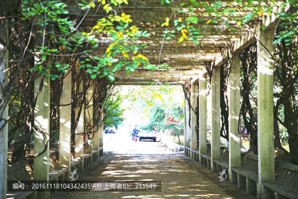 景觀園林長廊