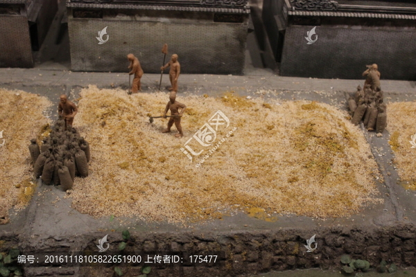 曬稻谷