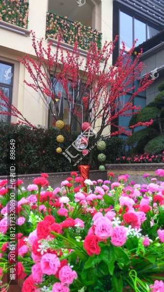 盛開的花朵
