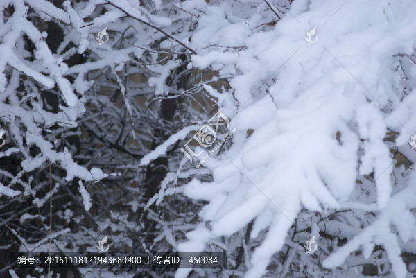 大雪