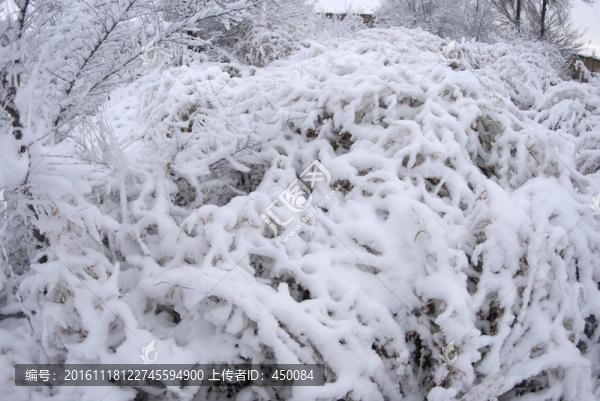 雪后