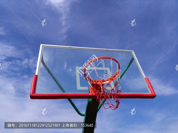 籃球運動