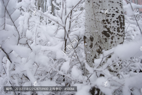 積雪