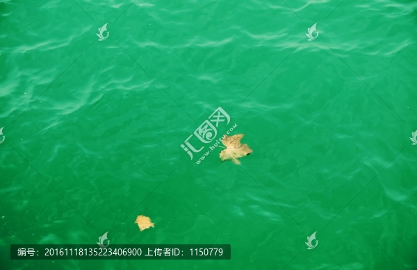 水紋理背景
