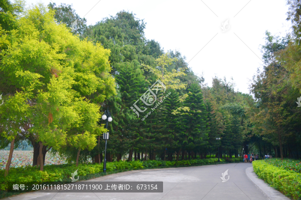 公園道路