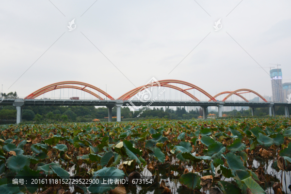 彩虹橋