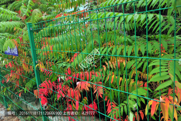 鐵絲圍欄,防護(hù)網(wǎng)