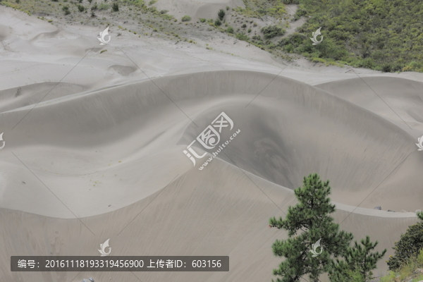 佛掌沙丘