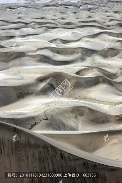 佛掌沙丘