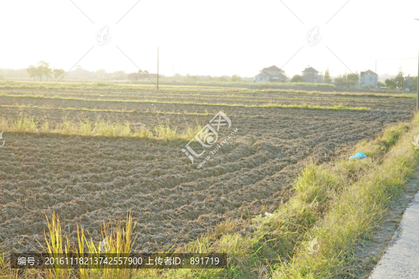 農(nóng)田,翻地,田壟,田野風光