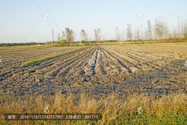 農(nóng)田,翻地,田壟,田野風(fēng)光