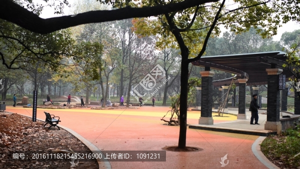 公園長廊