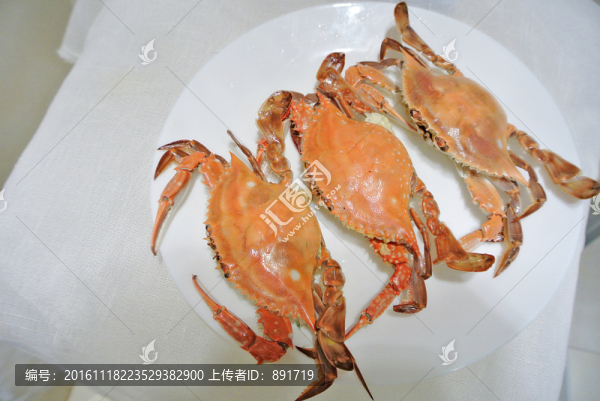 梭子蟹素材,高檔海鮮,海產(chǎn)品