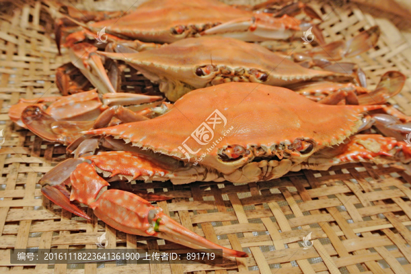 梭子蟹素材,高檔海鮮,海產(chǎn)品
