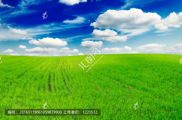 領(lǐng)域