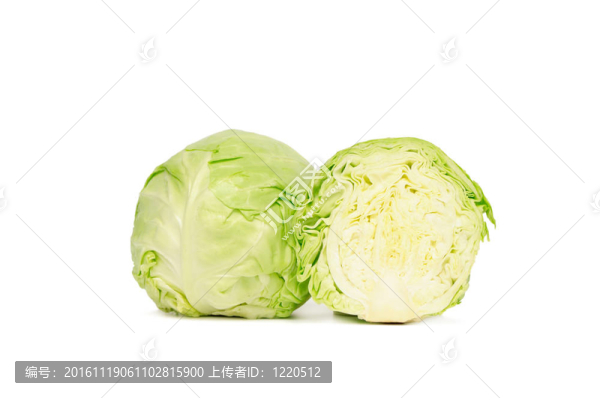 白菜頭