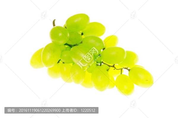 葡萄