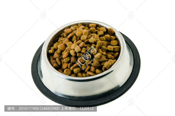 貓的飼料
