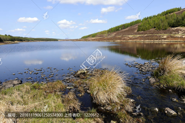craggie湖-匯圖網(wǎng) www.fosd68.com craggie湖