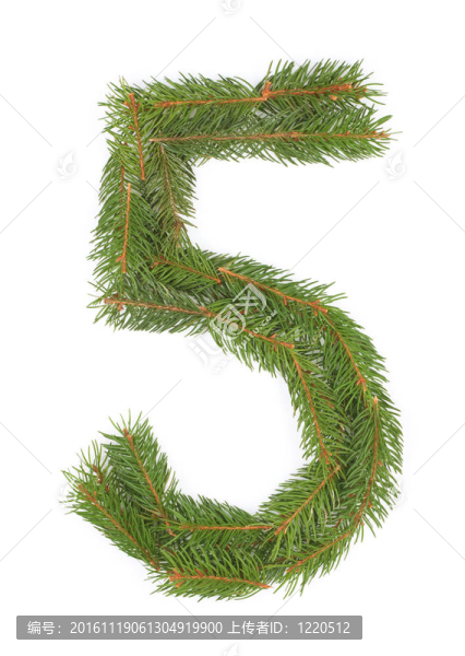 5號