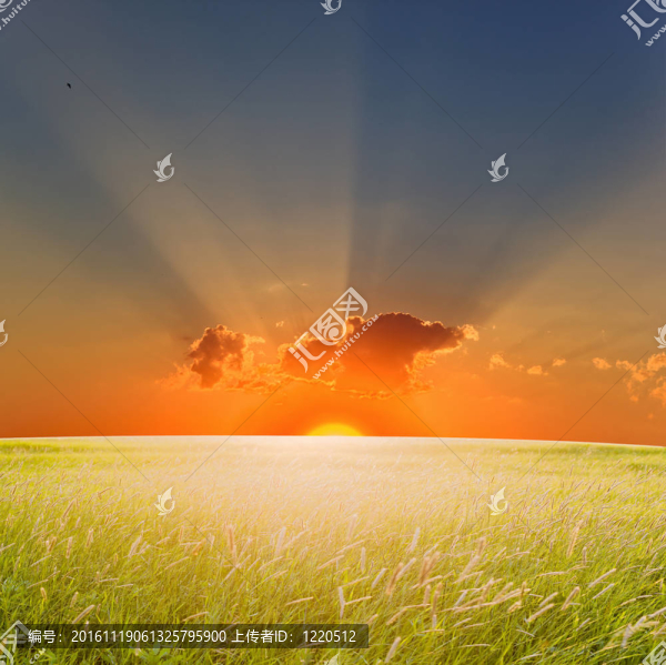 夏日的夕陽