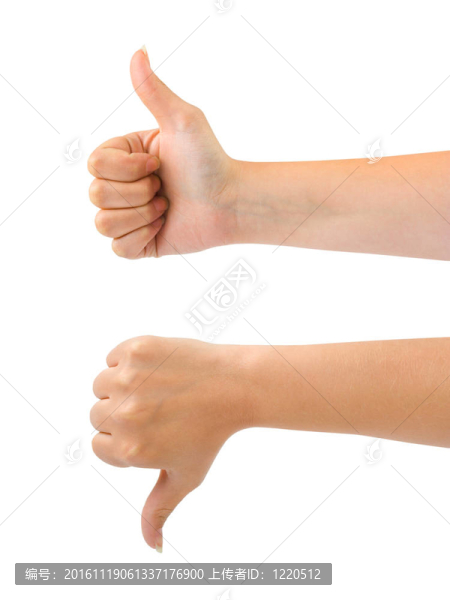 兩只手的組合