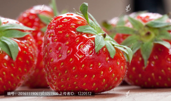 綠葉草莓