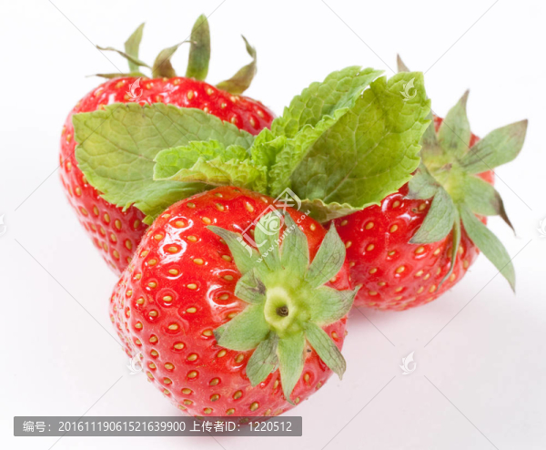 _img_1540（0）.jpg