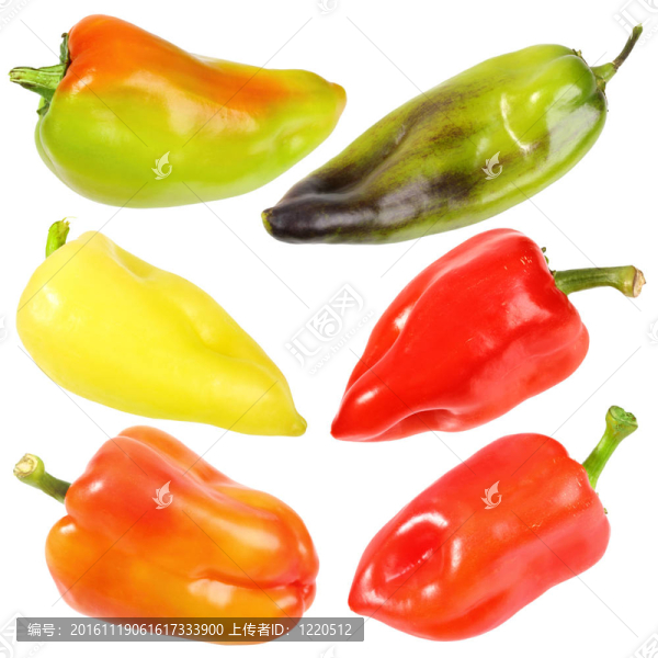 設(shè)置六個(gè)甜鮮辣椒