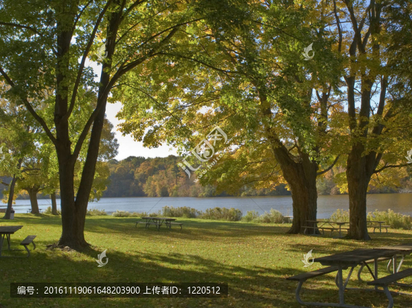 季節(jié)-匯圖網(wǎng) www.fosd68.com 季節(jié)