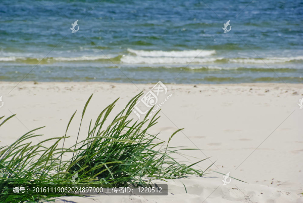 海灘-匯圖網(wǎng) www.fosd68.com 海灘