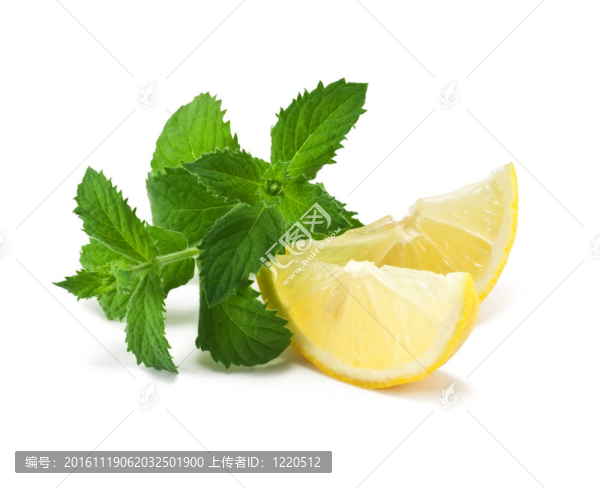 檸檬片薄荷